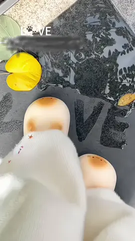 Dép sục lót lông bản cao cấp c #depchanmeo #deplong #depditrongnha #depnu #depcute 