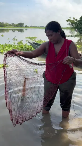 inesperado lo q encuentra esta mujer en su pesca