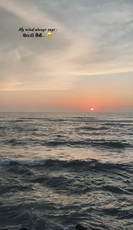 • ඔයාව ඕනී….. 🥺@S 🦄  #Love #explore #missyou #foryoupage #foryou 