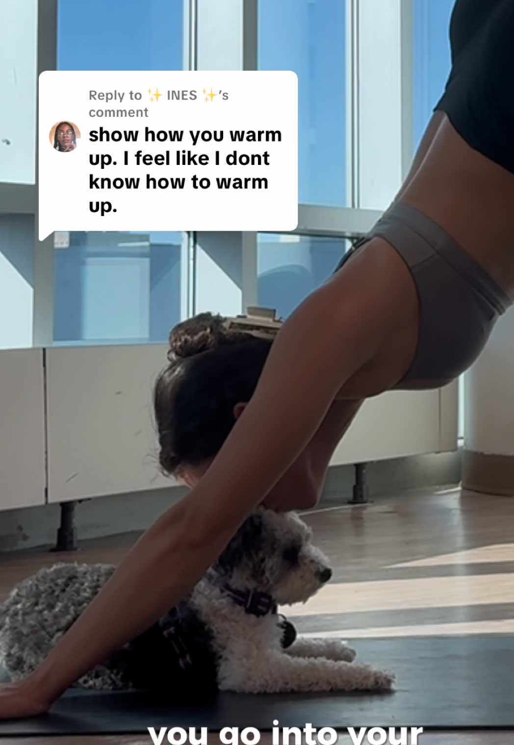 Replying to @✨️ INES ✨️  hope this helps 🫶🏽🫶🏽 #frontsplits #splits #flexibility #flexibilitytraining #mobilitytraining 