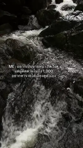 #เพื่อนช่วยเพื่อน #ติดตามมาติดตามกลับ #เพิ่มเพื่อนมาเยอะๆน้า #อยากเปิดตะกร้าในติ๊กต๊อก #อยากเป็นนายหน้าtiktok 