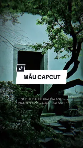 Quên trời quên đất dưới trần gian ta có nhau người yêu ơi #CapCut #nhachaymoingay #xh #capcutmaster #capcut #capcutpioneer #pioneertemplate 