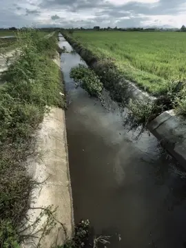 “ 在繁华的都市里，怀念和你一起度过的简单的午后时光，只要有你，就足以填满一片宁静的天空...！ 
