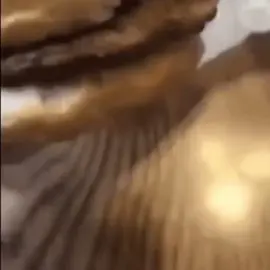 măm măm mawmmm #cat #meme #fyp #xh #meow 