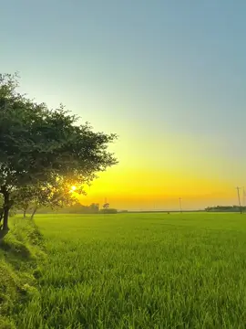 😅❤️‍🩹 #foryou #foryoupage #tiktok #viral #viral_video_tiktok 