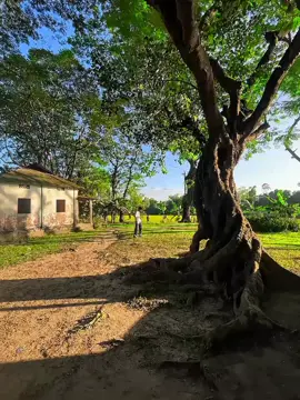 তুমি সেই কারন 🥹💔