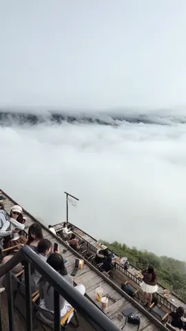 Từ khu homestay cho tới nhà hàng coffee Gió Bản Tà Xùa đều view trực diện mây mọi người ạ. Hôm nay quay cho mọi người cận cảnh các căn phòng nằm trọn trên biển mây của Gió Bản Tà Xùa nha 🥰🥰🥰 #GióBản #GioBanTaXua #homestayTaXua #ComboTàXùa #ComboTàXùa2n1đ 