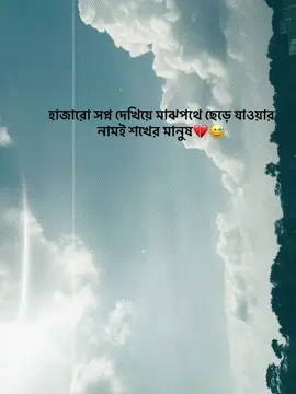 হাজারো সপ্ন দেখিয়ে মাঝপথে ছেড়ে যাওয়ার নামই শখের মানুষ..... 😌💔#vairal #tiktok #foryoupage #foryoupage @TikTok Bangladesh #
