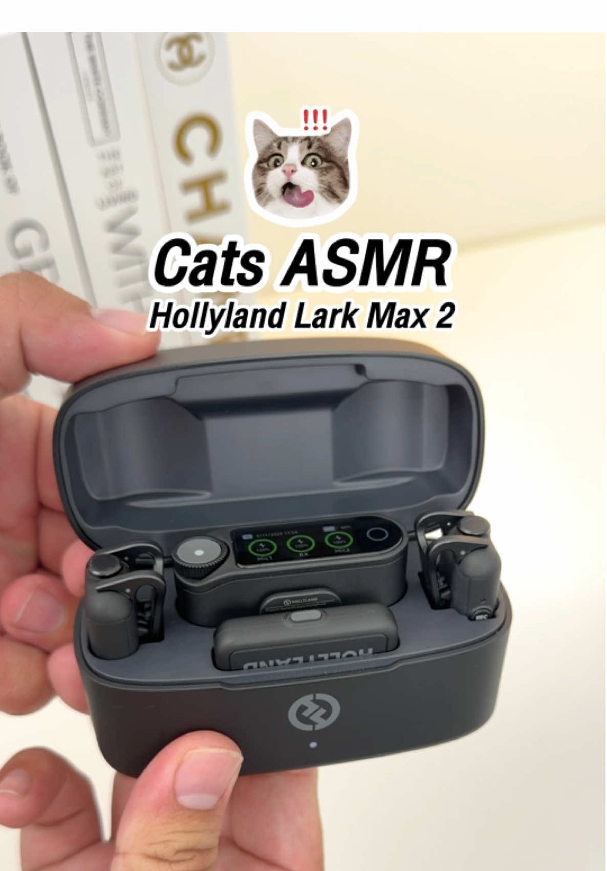 Cats ASMR ideas By Hollyland Lark Max 2 #Hollyland #LarkMax2 #wirelessmicrophone #HollylandMic #HollylandThailand