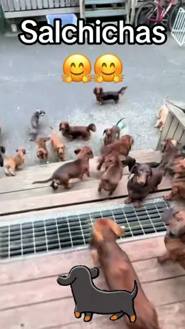 #🤷‍♀️🤷‍♀️🤷‍♀️🤷‍♀️😜😜😜😜😁😁😁🤷‍♀️🤷‍♀️🤷‍♀️🤷‍♀️ #🤪🤪🤪🤪🤪 #risas😂😂😂 #greenscreenvi😁😁 