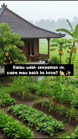 🌾 Bayangin pagi disambut udara segar, suara burung, dan aroma tanah basah. Tanpa bising, tanpa macet, cuma kamu, rumah kayu, dan kebun kecil di depan mata 🍃 Cukup tempat tenang yang bisa bikin hati pulang 💛 #rumahidaman #rumahimpian #kebunrumah #dekorumahyuk 🎥 : diri_fiksi