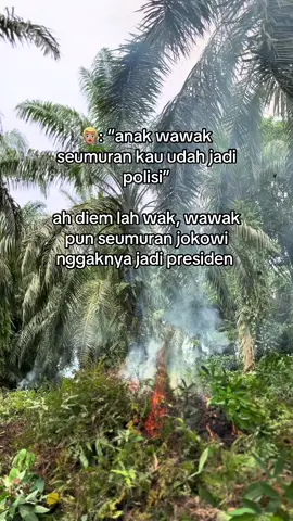 Kalo semua jadi polisi siapa jadi petaninya wak#kulisawit #petanimuda #petanimilenial #petaniindonesia🇮🇩🇮🇩🇮🇩🌿🌿 #sawit 