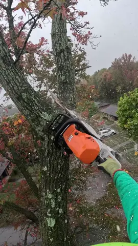 #usa #fyp #viral #foryoupage #capcut 