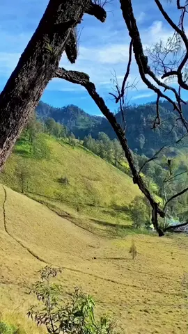th 90 tracking ke semeru begitu mudah dan nyaman..  sekarang tempat ini merupakan tracking termahal dan tersulit untuk dapat kuota di Jawa Timur.. #ranukumbolo 