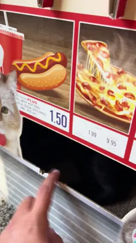 Terrible service 0/10 would not recommend new costco location                                        #costco #costcofinds #costcofight #catsoftiktok #stinkybaby 