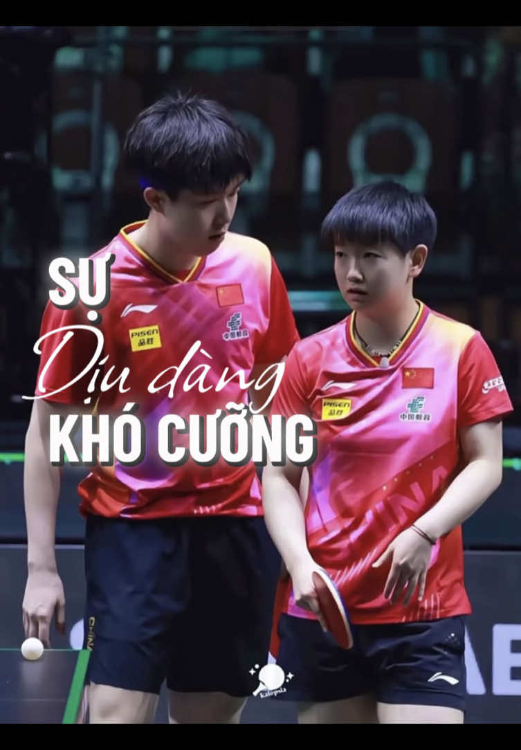 SỰ DỊU DÀNG KHÓ CƯỠNG CHƯƠNG 4 “Trời đất, anh ta vừa nói chuyện với cậu đó! Cả tháng nay anh ta chưa từng nói với nữ trong đội nhiều như vậy” Yingsha chỉ nhún vai. Nhưng trong lòng cô, có gì đó khẽ rung lên – một cảm giác lạ lùng, vừa khó chịu, vừa… không rõ là gì. Chiều hôm ấy, buổi tập kéo dài hơn thường lệ. Huấn luyện viên cho phép nhóm của Chuqin hướng dẫn nhóm mới một vài kỹ thuật nâng cao. Tình cờ, Yingsha lại được phân đứng gần anh. Anh ít nói, chỉ ra dấu bằng tay. Mỗi lần cô đánh sai, anh đều bình tĩnh sửa, không hề gắt gỏng như trước. “Cổ tay giữ chặt hơn. Đừng quá nhanh, lực sẽ mất.” – giọng anh vang lên, trầm thấp, mang chút âm điệu mệt mỏi sau cả buổi tập dài. Yingsha làm theo. Lần này, bóng đi đúng quỹ đạo, hoàn hảo. Anh khẽ gật đầu. “Ừ. Tốt.” Cô ngẩng lên, hơi bất ngờ vì lời khen hiếm hoi ấy. Anh không nhìn lại, chỉ bước sang bàn bên, tiếp tục hướng dẫn người khác. Buổi tối, cả ký túc xá rộn ràng tiếng nói cười. Yingsha nằm dài trên giường, nhìn trần nhà, nhớ lại ánh mắt ban chiều. Có gì đó trong lòng cô dường như đang dịch chuyển. “Wang Chuqin…” – cô khẽ gọi tên anh trong đầu, rồi bật cười. “Người như anh ta, sao mình lại để tâm được chứ?” Nhưng giấc mơ đêm đó của cô lại phản bội lời nói ấy. Trong giấc mơ, cô thấy sân tập rực sáng, thấy mình đang đánh đôi cùng anh. Ánh mắt anh dù lạnh lại có chút gì đó khiến tim cô đập nhanh hơn. Sáng hôm sau, khi chuông báo thức vang lên, Yingsha ngồi dậy, khẽ chạm vào trán. “Thôi rồi, điềm báo không hay đây.” – cô lẩm bẩm, cố xua tan ý nghĩ mơ hồ trong đầu. Nhưng định mệnh vốn chẳng dễ buông tha ai. Bởi ngay khi bước ra khỏi phòng, cô đã va phải một bờ vai quen thuộc. Một tiếng “Rầm” vang lên. Cốc nước trên tay cô đổ lên áo người kia. Cả hành lang im phăng phắc. Yingsha ngẩng lên – và lần nữa, ánh mắt cô chạm phải đôi mắt sâu thẳm của Wang Chuqin. Anh cúi xuống, lau qua vết nước, giọng bình thản nhưng ánh nhìn ẩn chứa điều gì đó khó đoán: “Hình như cô có sở thích gây chuyện với tôi thì phải?” Cô đáp lại không kém phần sắc bén: “Không cố ý đâu. Nhưng có lẽ anh nên xem lại đường đi của mình.” Anh bật cười – lần đầu tiên, nụ cười thật sự. Không lạnh, không khinh thường, chỉ là một nét cong nhẹ nơi khóe môi. “Xem ra, ngày của tôi lại bắt đầu bằng cô nữa rồi.” Và khi bước đi, anh để lại phía sau một cô gái đứng lặng, tim đập nhanh đến mức chính cô cũng không hiểu vì sao. Buổi sáng đó, không khí trong nhà tập đội tuyển quốc gia dường như nặng nề hơn thường lệ. Âm thanh bóng va bàn, tiếng giày ma sát mặt sàn, tiếng hít thở gấp gáp hòa vào nhau thành một nhịp điệu quen thuộc nhưng đối với Sun Yingsha, hôm nay mọi thứ đều có chút chông chênh. Cô bước vào sân tập với gương mặt bình thản, tai đeo tai nghe không bật nhạc, chỉ để tránh phải chào ai. Tối qua cô gần như không ngủ, hình ảnh cuộc nói chuyện nửa chừng với Wang Chuqin cứ luẩn quẩn trong đầu. Cô không rõ mình sai ở đâu, chỉ biết rằng khoảng cách giữa hai người vốn đã mong manh dường như lại bị kéo xa thêm một đoạn. “Sha, hôm nay đấu nội bộ nhé, HLV vừa báo,” Liang Jingkun lên tiếng từ xa, tay vẫy vẫy cây vợt. “Bảng A, B, rồi chia theo nhóm. Cậu với Chuqin vẫn cùng nhóm đó.” Sun Yingsha gật nhẹ, không đáp. Tim cô chùng xuống. Cùng nhóm… nghĩa là sẽ phải luyện cùng anh, nhìn thấy anh, và có lẽ lại chịu ánh mắt lạnh lùng ấy. Wang Chuqin đã đến từ sớm, áo tập ướt đẫm mồ hôi, động tác gọn gàng, ánh mắt sắc như dao. Anh không tỏ ra gì, nhưng đôi khi, trong thoáng chốc dừng lại giữa hai lượt bóng, ánh mắt anh vẫn dõi về phía góc sân nơi Sun Yingsha đang khởi động. Rất nhanh thôi, anh quay đi, giả vờ tập trung, như thể chưa từng để tâm. Bài tập khởi động kéo dài hơn thường lệ. Không ai nói chuyện nhiều, mọi người dường như đều hiểu không khí có chút lạ lùng. Chỉ cần một chút tinh ý, ai cũng nhận ra giữa hai trụ cột của đội đang có điều gì đó không ổn. “Chuqin, Shasha hai người khởi động xong thì vào tập đôi nha,” giọng huấn luyện viên vang lên, dứt khoát. “Trận nội bộ chiều nay cần ăn ý.”Cô hơi khựng lại, còn anh cũng không đáp lời.  #shatou #孙颖莎 #王楚钦 #5114 #fanfic 