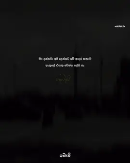 අනිවාරෙන් සුදු🥺💗💐@Dolly girl_🐼💗