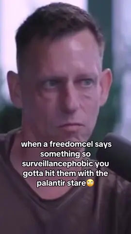 #schizoposting #humor #meme #palantir #conspiracytheory 