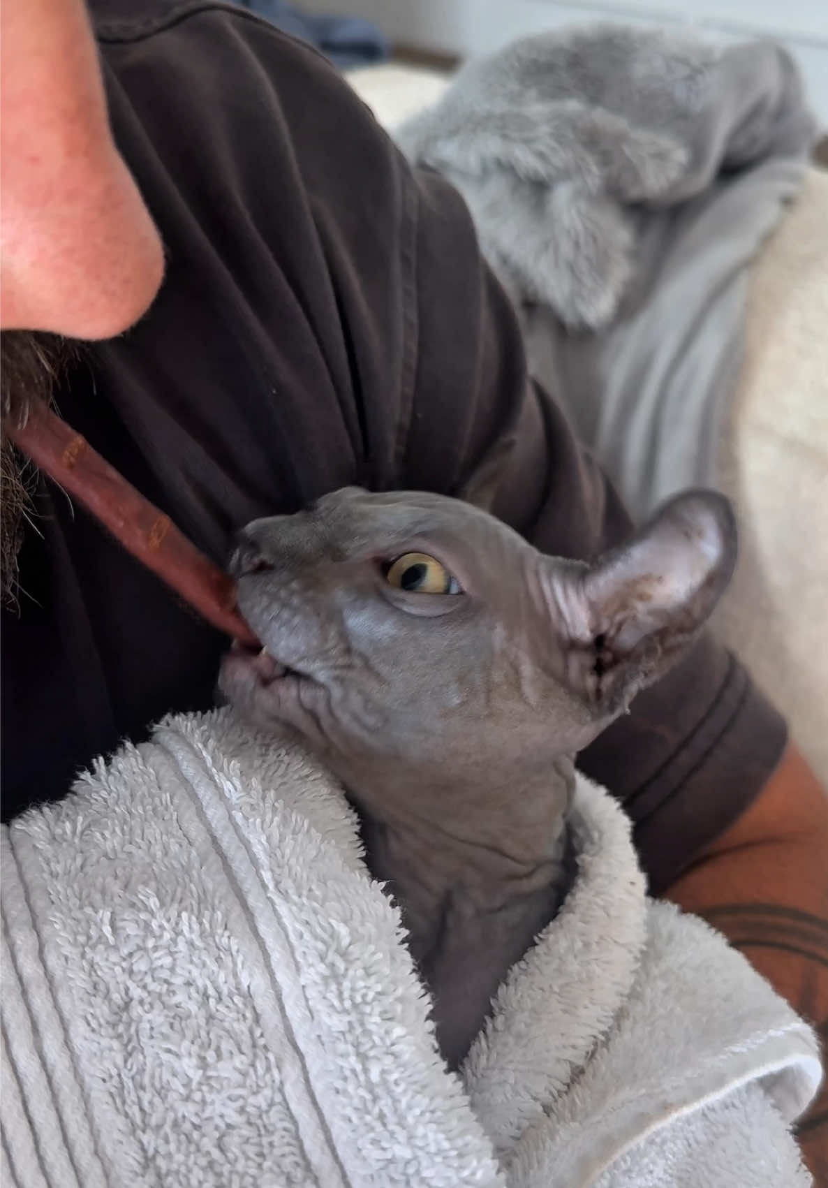 Вторая часть большого дня татяны) #николайандрейченко #ашкелон #foryou #израиль #рек 