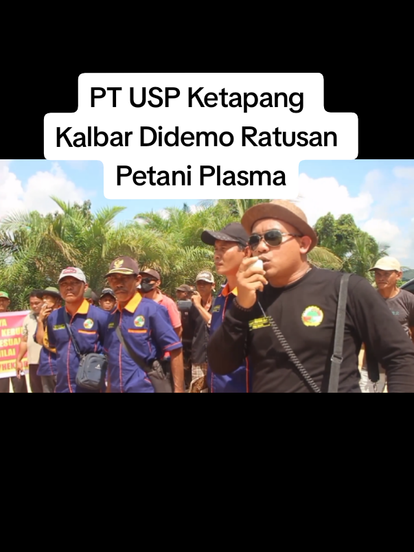 #demopetanisawit  #petaniplasma #ptuspkalbar #koperasimitrakaryaperkasa #kecmanismatap 