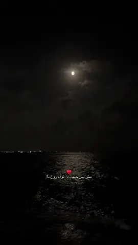 #alexandria #sea #winter #foryoupage #4u  