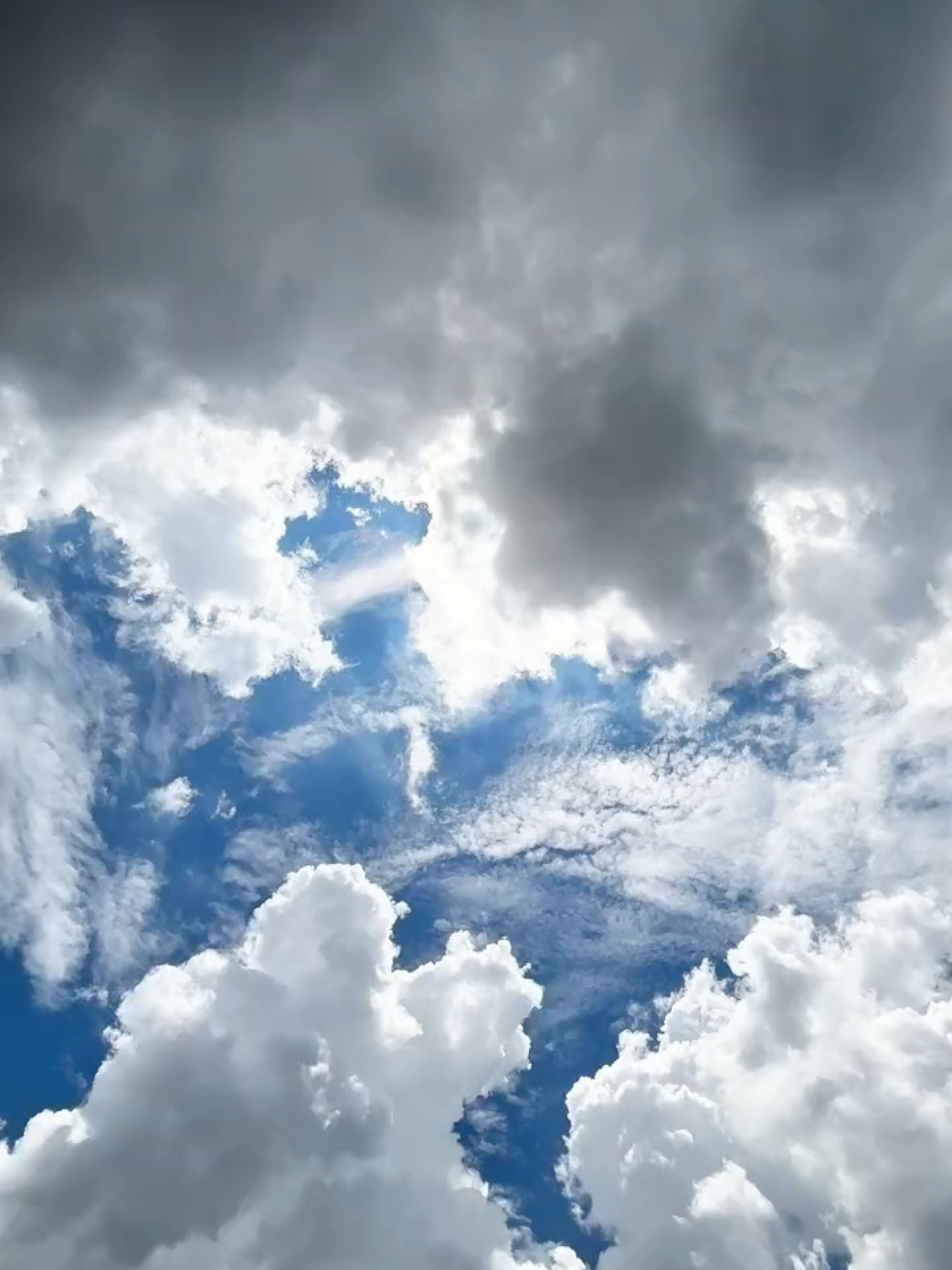 Mentahan nih😁😁🤟🤟 #microsoftedge #Ccpro #4k #mSim11