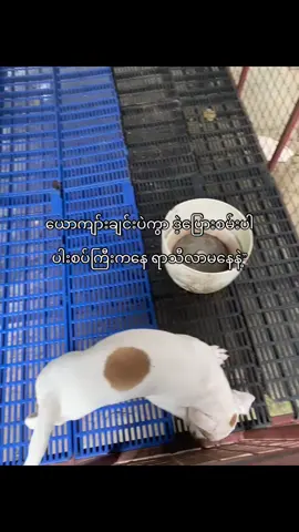 🗽#views #foryou #viral #ti̇ktok #crdvideo 