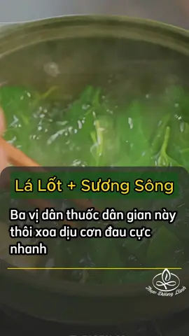 Khớp kêu răng rắc, đau mỏi triền miên? 3 vị dân gian này cứu liền sau 1 nồi nước #xuongkhop #daukhop #dongy #baithuocdanGian #songlanhmanh #meodanian #giamdauxuongkhop