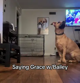 Grace w/Bailey Grace She sick of me 🤣🤣