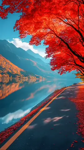 calm #alam #harmony #natural 