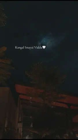 #Love #foryoupage❤️❤️ #fypage #view #fyppppppppppppppppppppppp #fypシ゚ #share #like #loveyou #breakup #repost #waiting #popular 