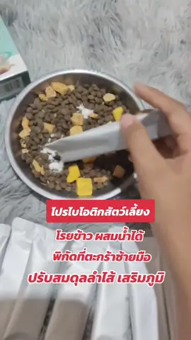 โปรไบโอติกสัตว์เลี้ยง#โปรไบโอติก #โปรไบโอติกสัตว์เลี้ยง #พี่จุ๊นักไลฟ์ #แมว #พี่จุ๊นักไลฟ์ 