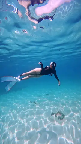 Một hơi thở, cả đại dương 🌊✨ #taydophuquy #daophuquy #phuquy #freediving #freedive 