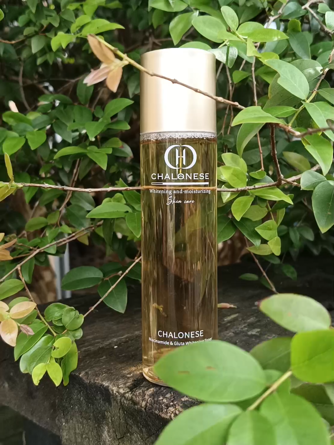 #chalonese #chaloneseskincare #toner #tonerviral 