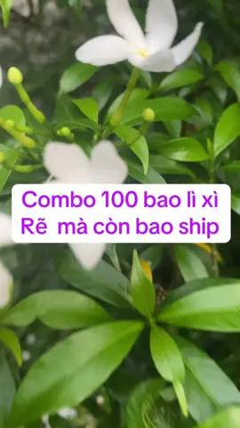 Tết đền cận kề rồi#xuhuongtiktok #xuhuong #tiepthilienket #lixi #tet  @Mẹ Bơ 