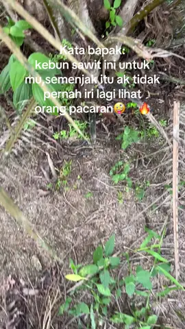 #fyppppppppppppppppppppppp #petanisawit #pewarisbukanperintis 