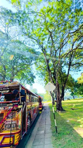 #සීදේවී_luxury_edition✨🧡 #modified #viraltiktok #bus 