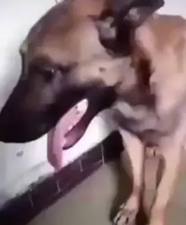 noob vs pro vs hacker 