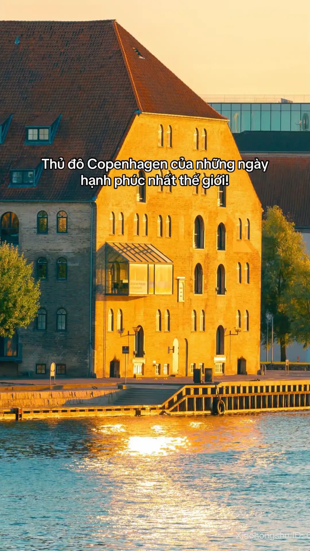 Một buổi chiều thu tại Đan Mạch #pattours #tour #nhukhungtroiauchau #europe #danmark 