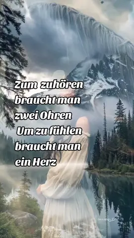 #zitate #sprüche 
