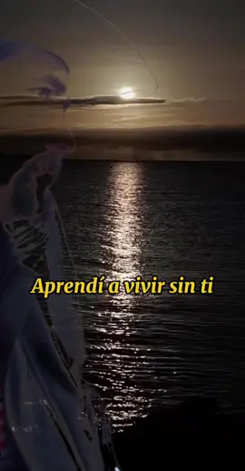 #aprendiavivirsinti #puro_camaron_ #cancioncompleta #cancionconletra #teolvide 