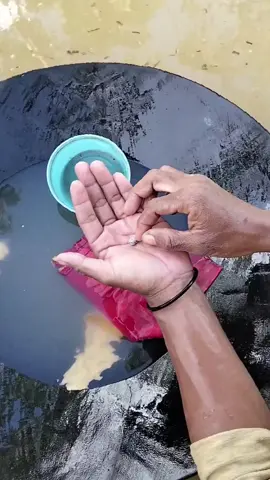 Alhamdulillah,,sukuri aja dulu #pendulangemas #dompengdarat😎 #dompeng #pejuangrupiah #tambangemas #pejuangdompeng #fypシ゚ #dompengdaratkalimantan #dompengdaratkalteng #dompengdaratjambi 