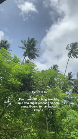 Terus di jual baru dapa doi, jadi dari kecili kita so usaha sendiri,kecuali paginya minta uang saku.