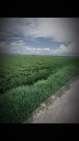 Dĩ nhiên rồi ngta là lựa chọn của em mà..#tamtrang #xuhuong #67angiang #fyp 