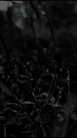 tidak ada yang tau nasib seseorang kedepannya seperti apa  #nasib  #manusia 