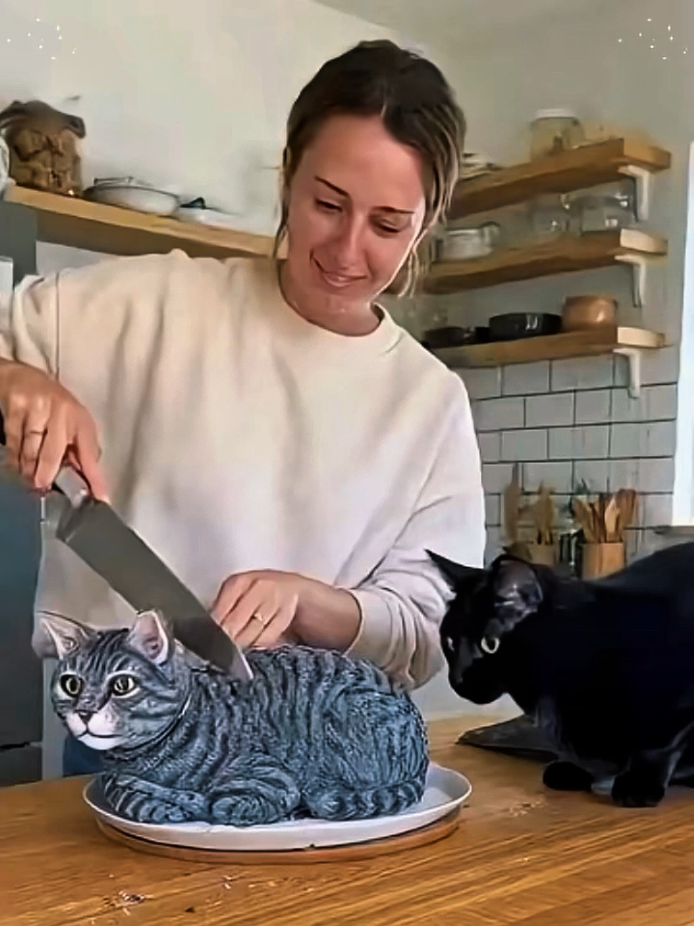 Funny Animal Prank #funnyvideos #snakeprank #funnyprankvideos #fun #scareprank 