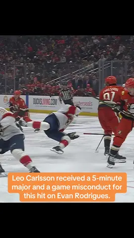 #NHL #hockey #hockeytiktoks #Ducks #Panthers 