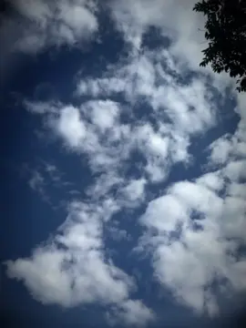 Farkera aaunu hai #CapCut #natural #nepalisongtemplate #dibash #dibashcreation 