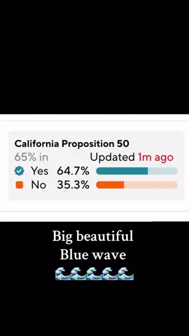 Blue wave. The people United will never be defeated. #bluewave #voteblue #hope #america #electionresults 