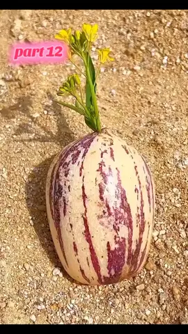 part 12 #islamic_video #foryou #virlvideo #foryoupage #growmyaccount @Islamic vedio @Islamic_Videos @Doctor Sahb 🥀 